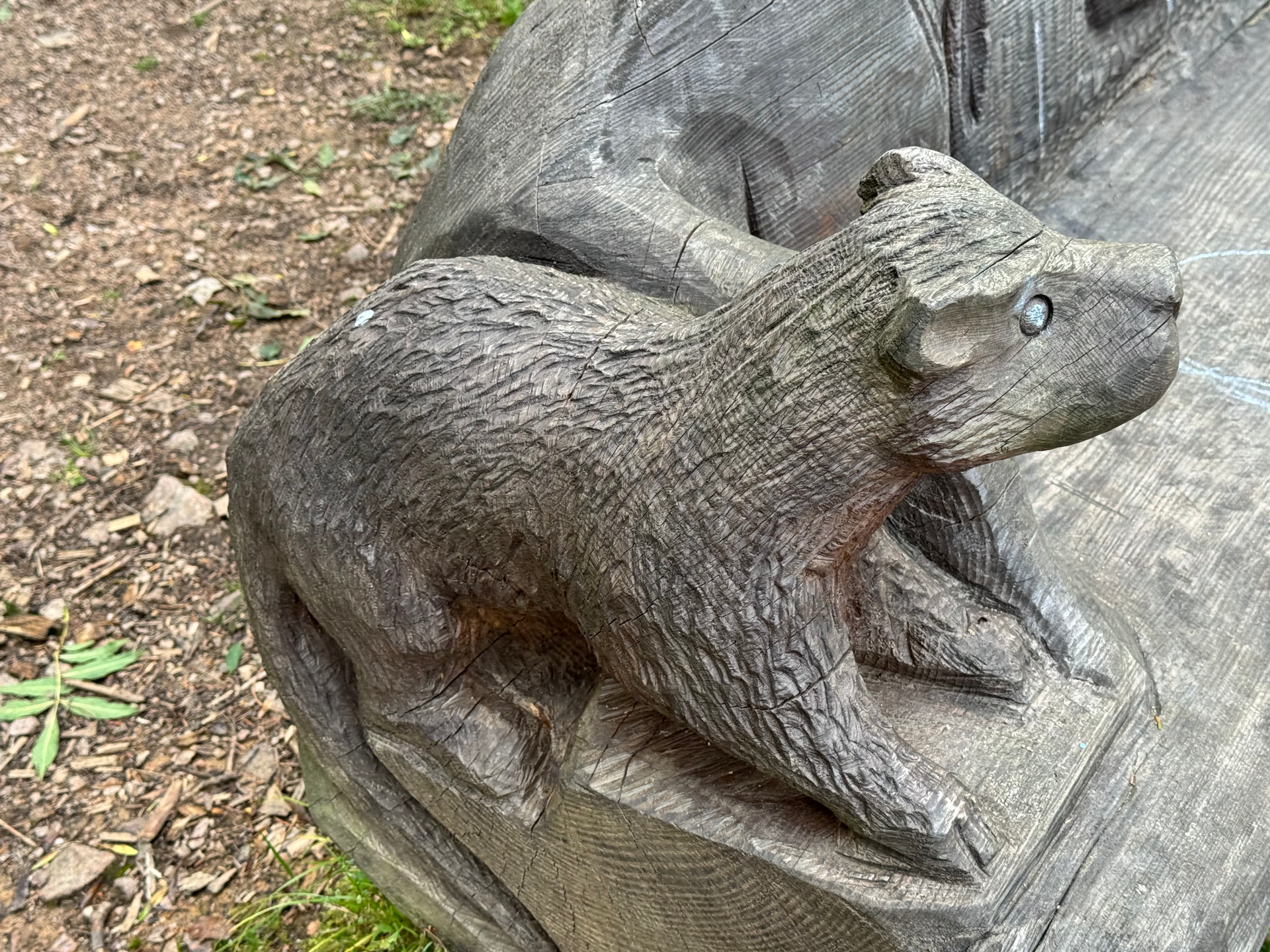 Image of a side view of the Mink, which was carved by Gintas Poderys of Gintas Carving.