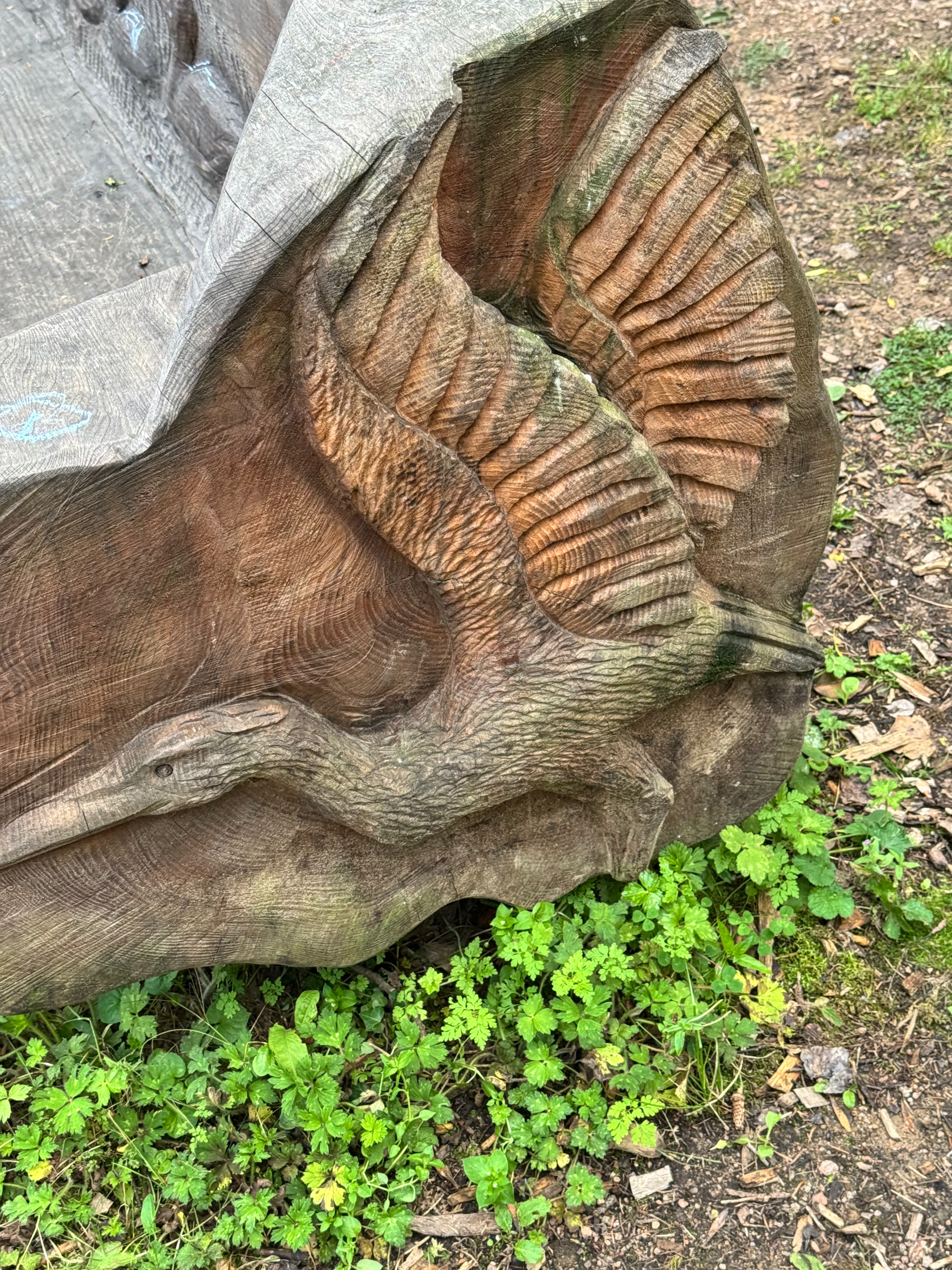 Image of a closer view of the pelican carving done by Gintas Poderys of Gintas Carving.
