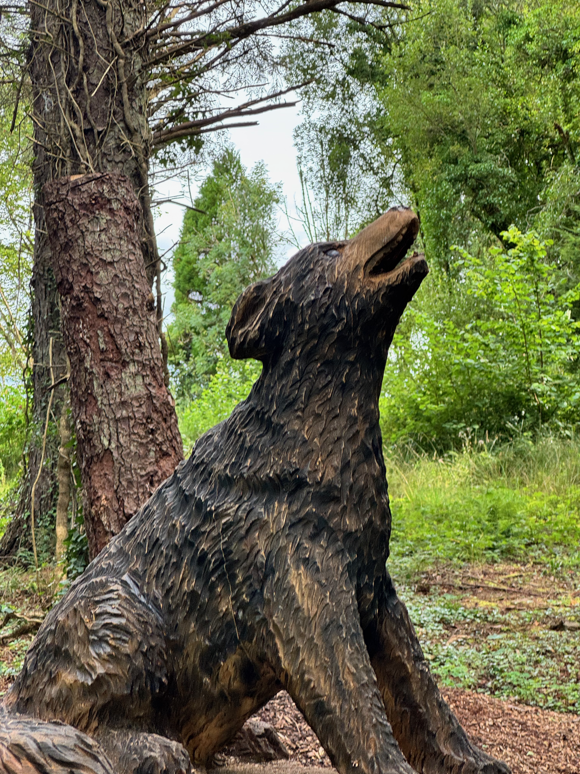 Image of a wood carving of a bear on the grounds of the Mac Manus Estate. All carvings were done by Gintas Poderys of Gintas Carving.