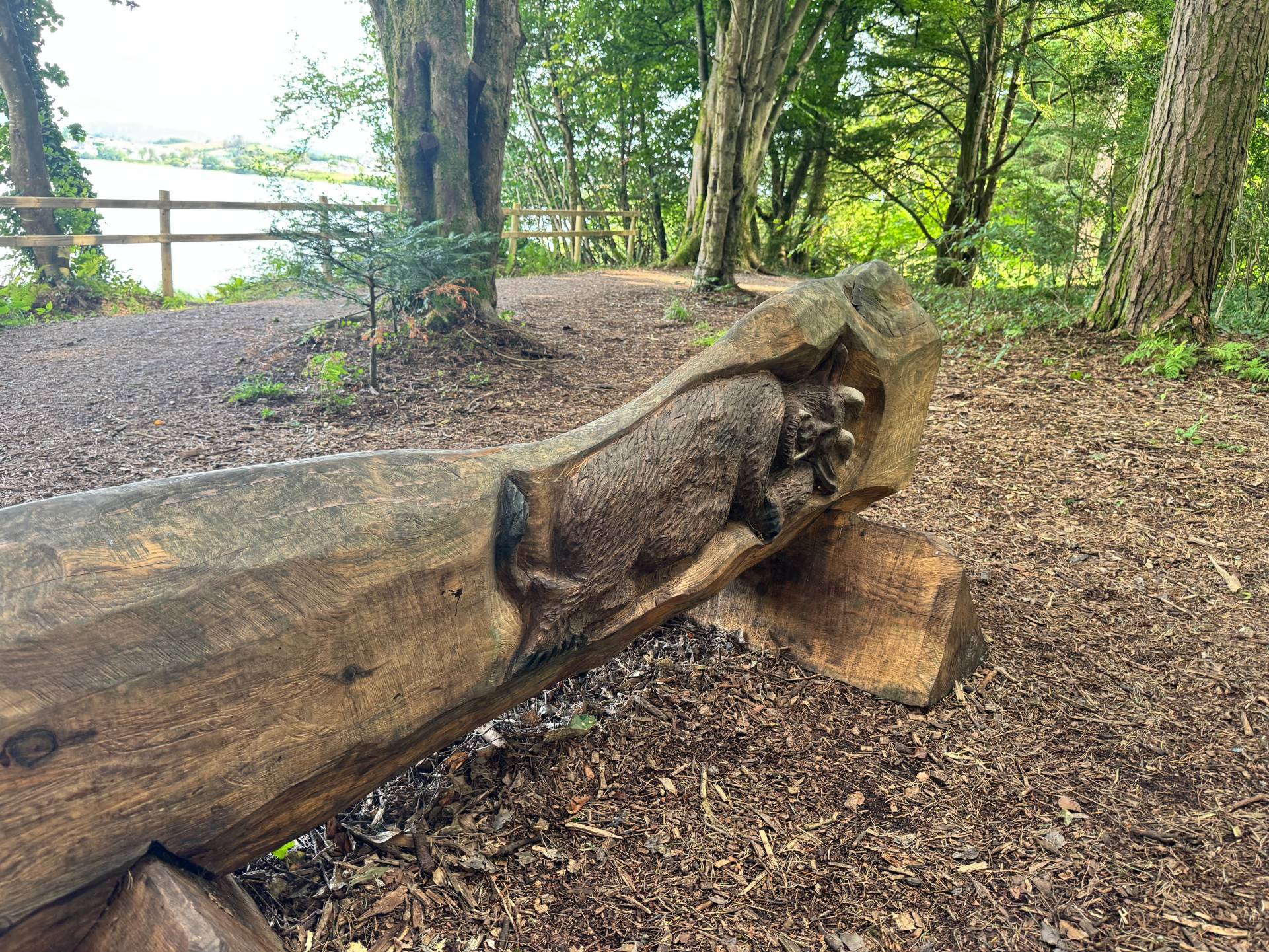 Image of a Gruffalo carved into the back of a bench on the Mac Manus Estate.