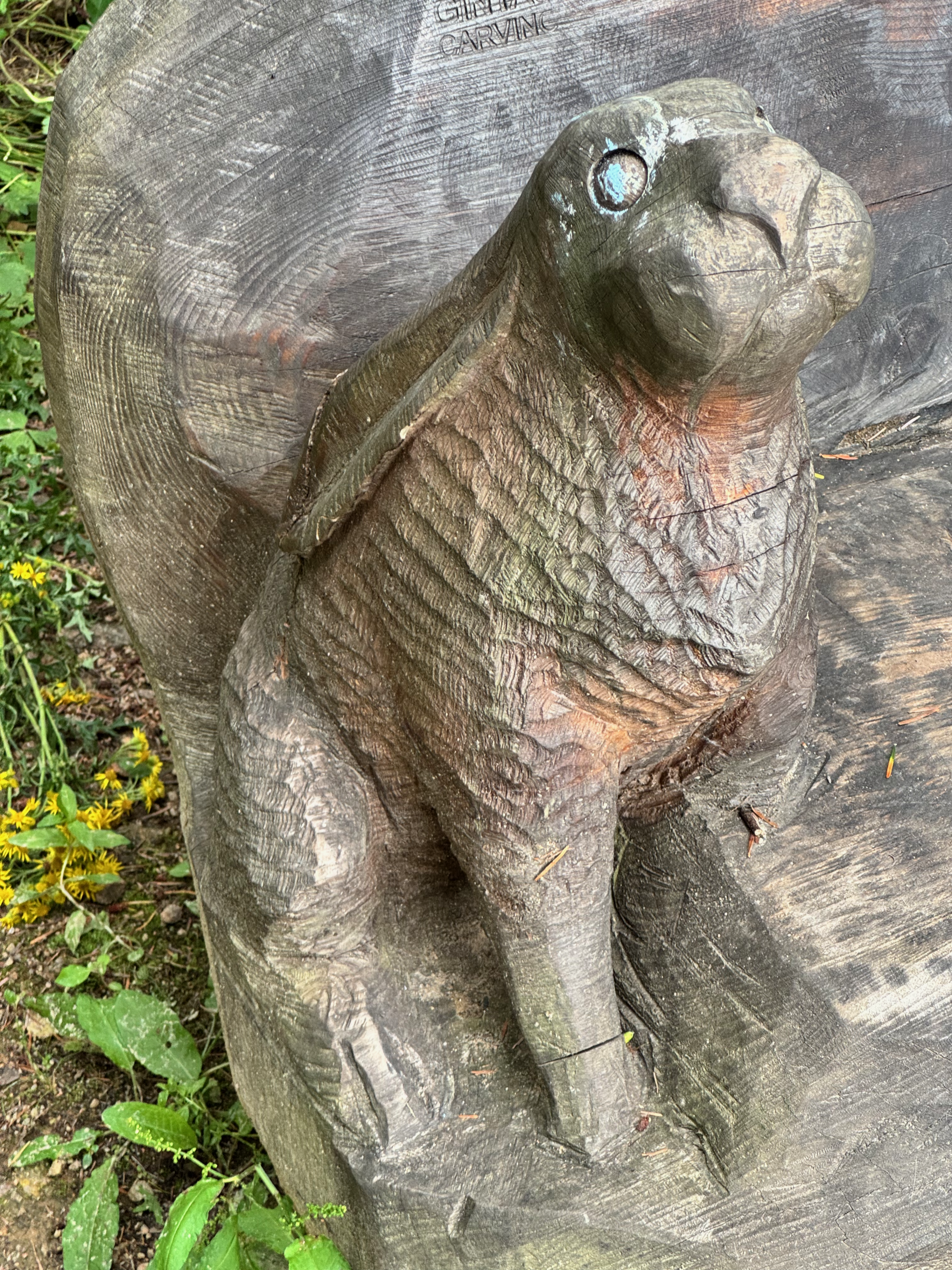 Image of the rabbit from a different angle.