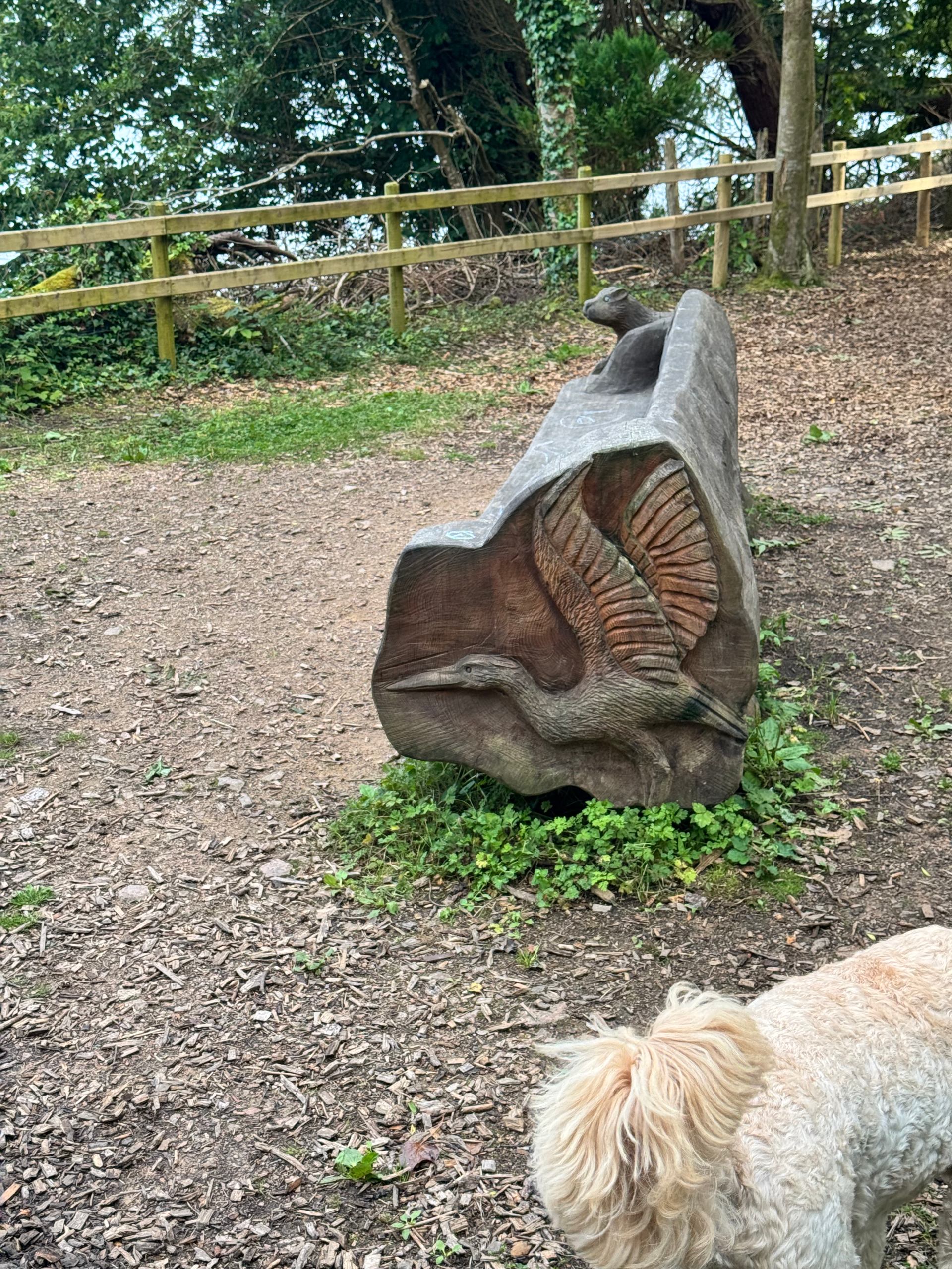 Image of a bench with animals carved into it on the Mac Manus Estate. All carvings were done by Gintas Poderys of Gintas Carving.