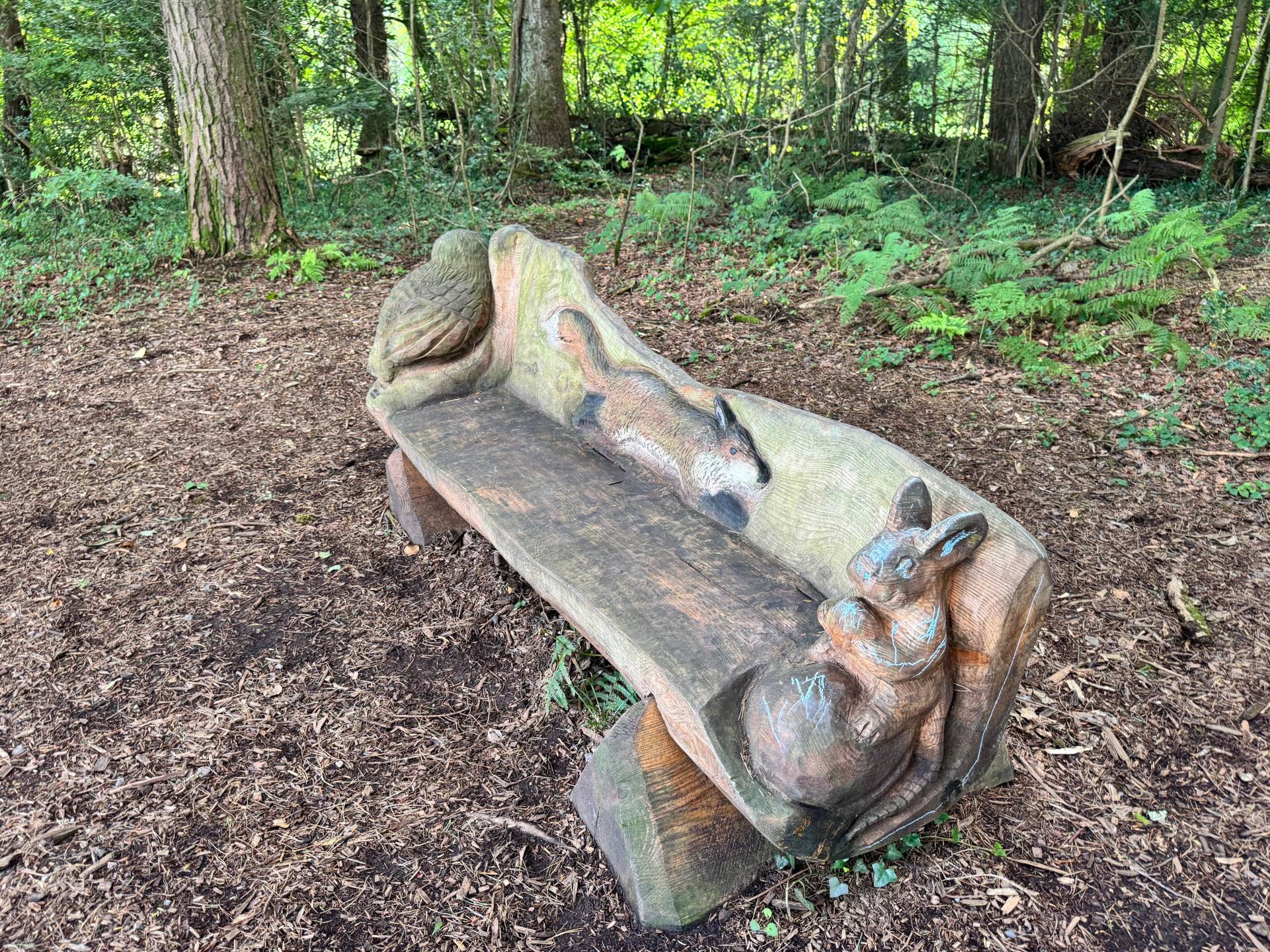 Image of the first bench visible on the Mac Manus Estate.