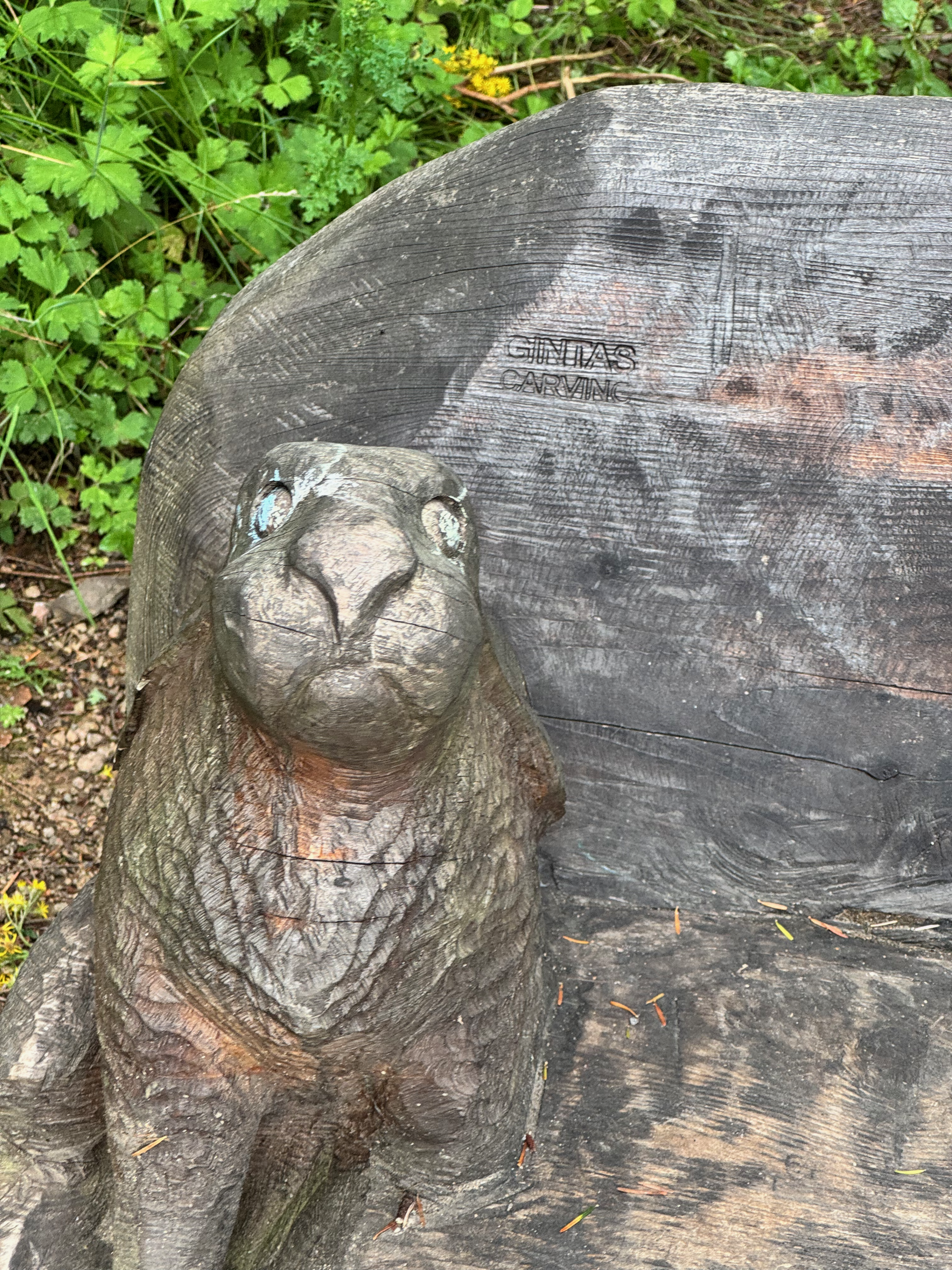 Image of a rabbit carved into a bench on the Mac Manus Estate. All carvings were done by Gintas Poderys of Gintas Carving.