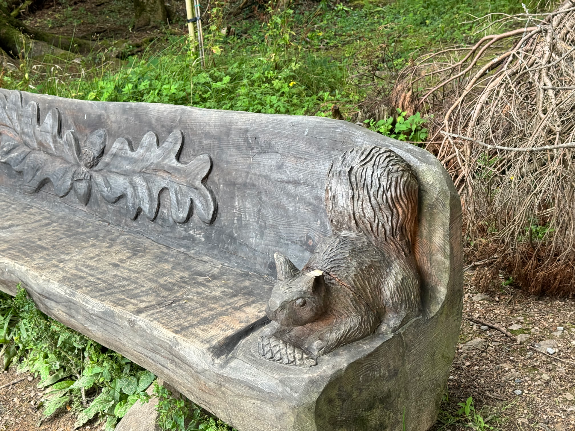 Image of a squirrel carving on a bench at the Mac Manus Estate. All carvings were done by Gintas Poderys of Gintas Carving.